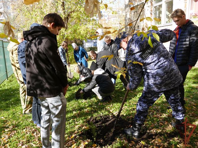 В патриотической акции «Древо Сталинграда» участвуют росгвардейцы из Сибири 