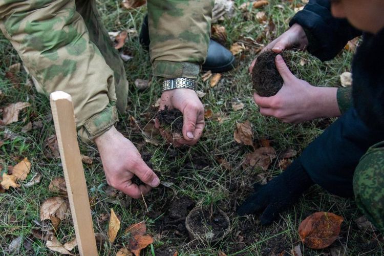 Военнослужащие Уральского округа Росгвардии вместе с подшефными кадетами высадили 50 молодых кедров в Екатеринбурге