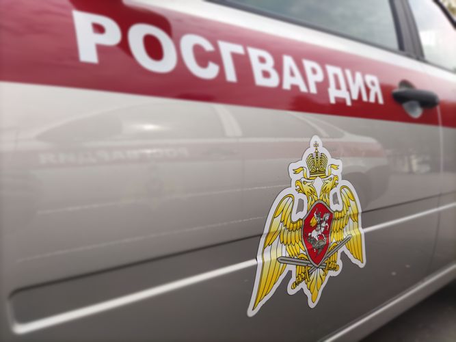 Росгвардейцы оказали помощь пострадавшей в ДТП жительнице Удмуртии