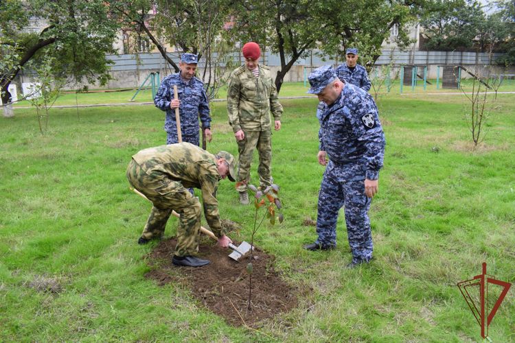 В акции «Древо Сталинграда» приняли участие росгвардейцы из Дагестана 