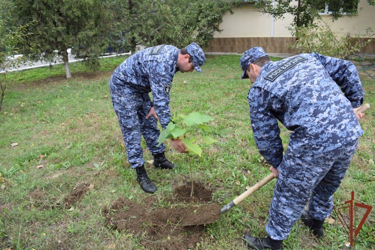В акции «Древо Сталинграда» приняли участие росгвардейцы из Дагестана 