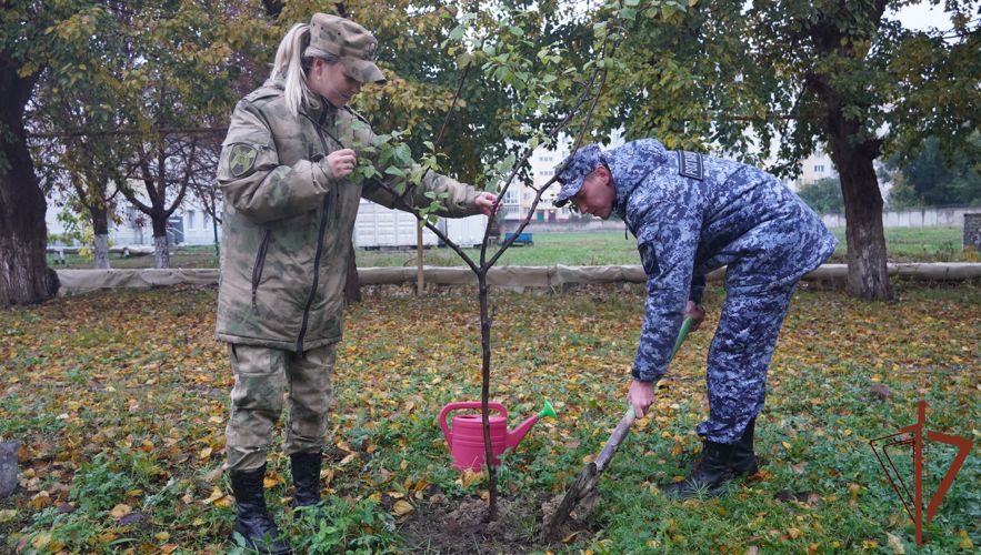 В Саратове росгвардейцы продолжают принимать участие в ведомственной акции «Древо Сталинграда» 