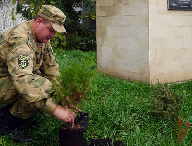  Всероссийская акция Росгвардии "Древо Сталинграда" прошла в Воронеже