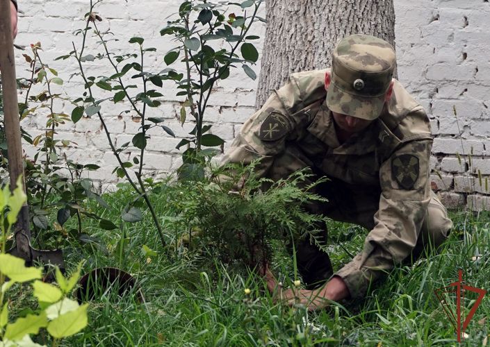  Всероссийская акция Росгвардии "Древо Сталинграда" прошла в Воронеже
