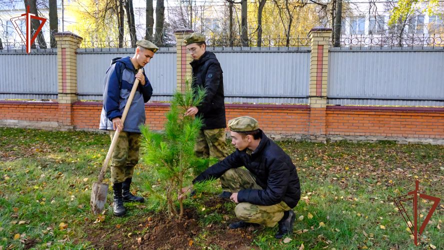 Акция Росгвардии «Древо Сталинграда» состоялась в Республике Марий Эл