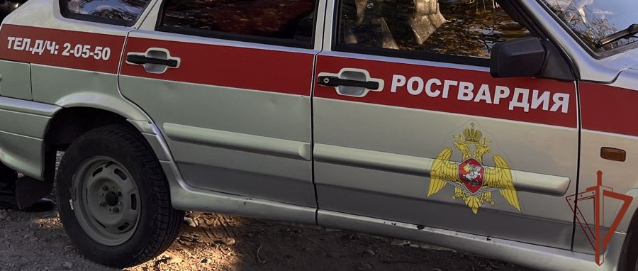 Патруль Росгвардии помог жительнице Кызыла найти ее дочь