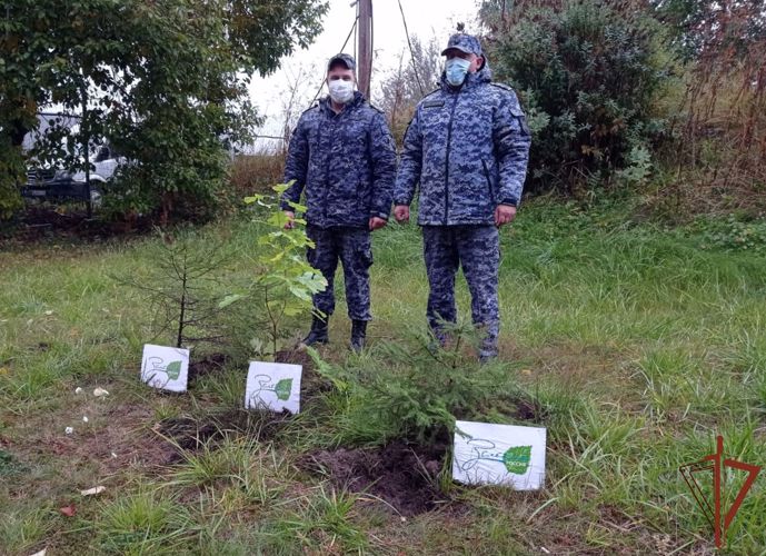 В Ленинградской области росгвардейцы присоединились к экологическим акциям «Зеленая Россия» и «Дерево Сталинграда»