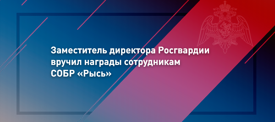 Заместитель директора Росгвардии генерал-лейтенант Владислав Ершов вручил награды сотрудникам СОБР «Рысь»