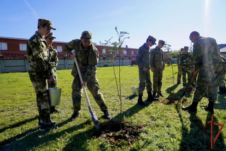Акцию Росгвардии «Древо Сталинграда» поддержали в Волгограде