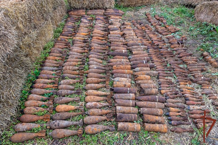 В Краснодарском крае взрывотехники Росгвардии уничтожили 373 боеприпаса времен Великой Отечественной войны (видео)