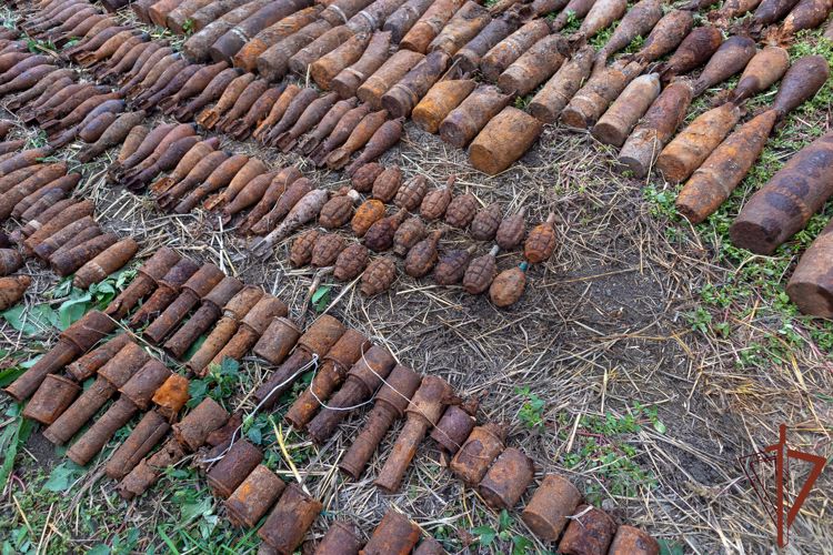 В Краснодарском крае взрывотехники Росгвардии уничтожили 373 боеприпаса времен Великой Отечественной войны (видео)