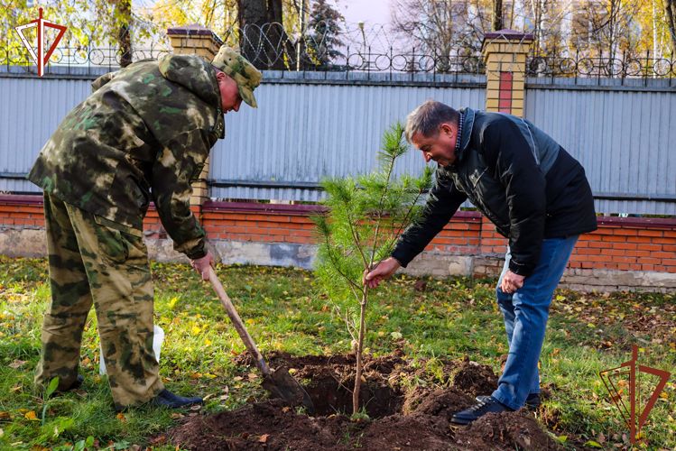 Акция Росгвардии «Древо Сталинграда» состоялась в Республике Марий Эл