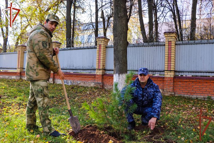 Акция Росгвардии «Древо Сталинграда» состоялась в Республике Марий Эл