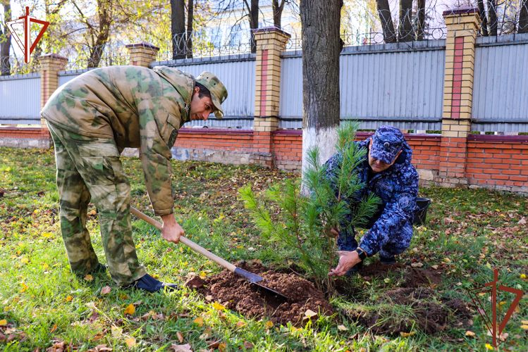 Акция Росгвардии «Древо Сталинграда» состоялась в Республике Марий Эл
