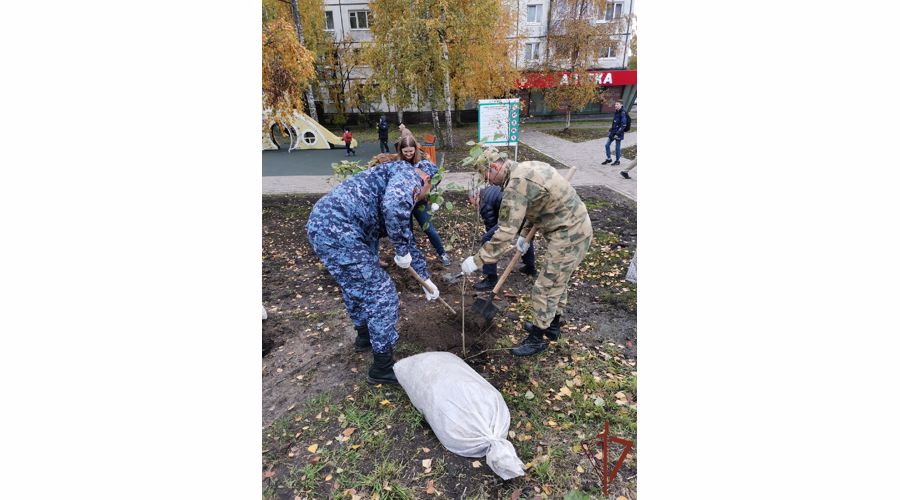 Сотрудники Росгвардии из Карелии присоединились к ведомственной акции «Дерево Сталинграда»