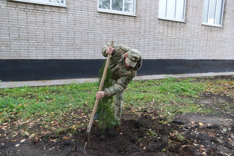 В Великом Новгороде  росгвардейцы присоединились к  акции «Дерево Сталинграда»