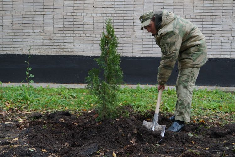 В Великом Новгороде  росгвардейцы присоединились к  акции «Дерево Сталинграда»