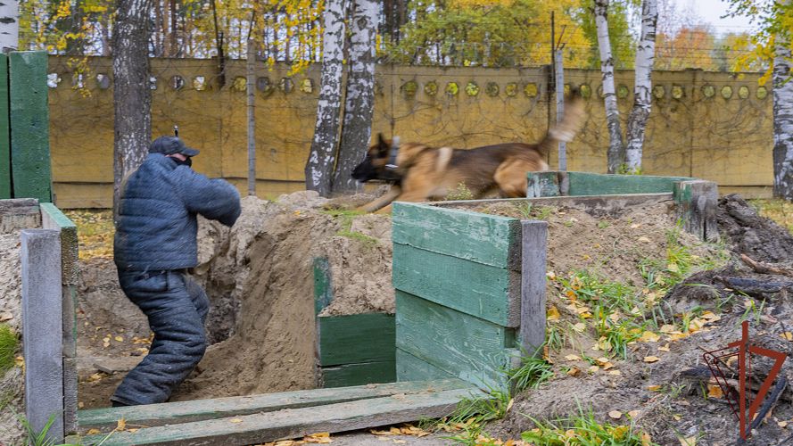 Ведомственный медиапроект «Я, росгвардеец» побывал в гостях у кинологов из Пензы