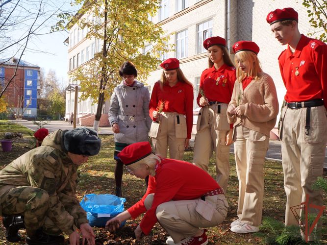 Акция Росгвардии «Древо Сталинграда» проходит в регионах Сибири