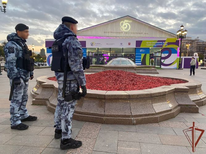 Росгвардия обеспечила безопасность «российской энергетической недели»
