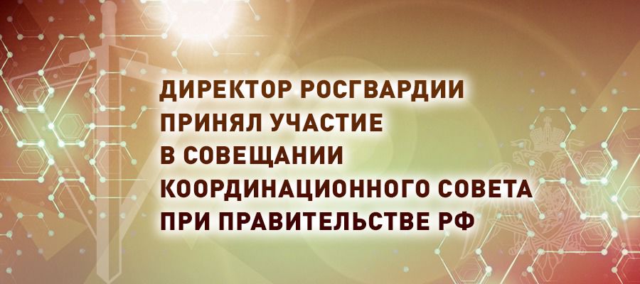 Генерал армии Виктор Золотов принял участие в совещании с членами Координационного совета при Правительстве по обеспечению потребностей ВС РФ