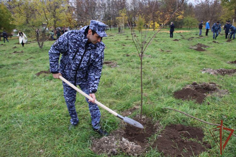Более 2 тысяч деревьев высадили росгвардейцы в Кабардино-Балкарии 