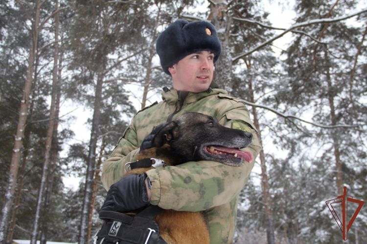 Кинологи Росгвардии рассказали тюменским тележурналистам об особенностях подготовки служебных собак
