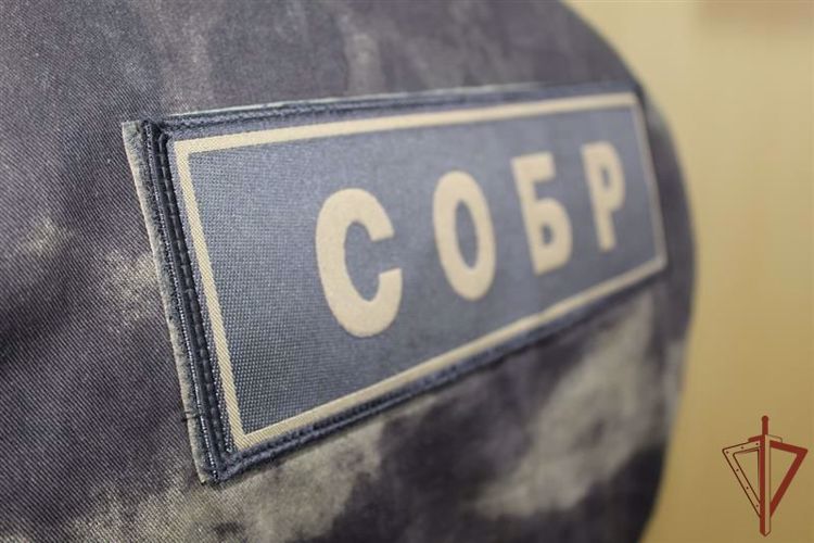Спецназ Росгвардии задержал в Севастополе подозреваемого в неоднократных поджогах частного домовладения
