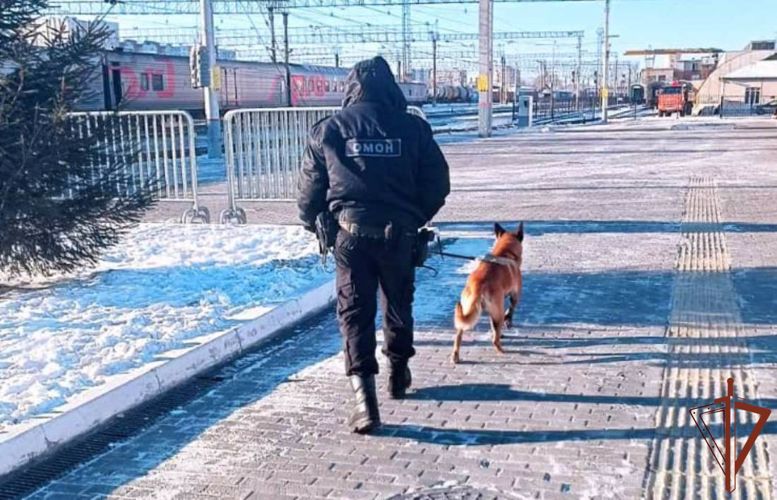 Росгвардейцы обеспечили безопасность поезда Деда Мороза в Тюмени