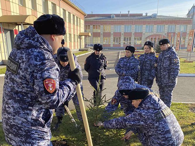 В Красноярске сотрудники Росгвардии присоединились к акции «Древо Сталинграда»