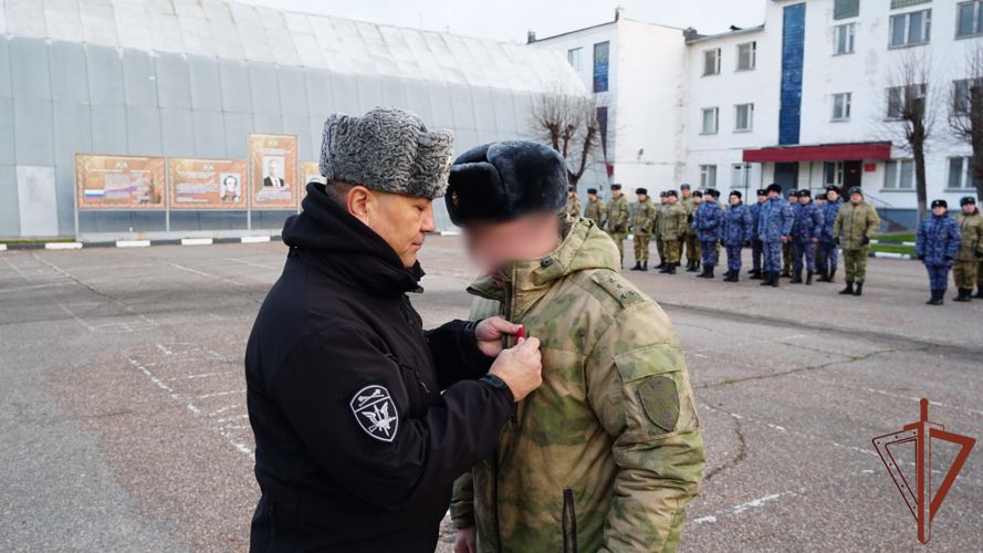 В регионах ЦФО росгвардейцам вручены государственные награды