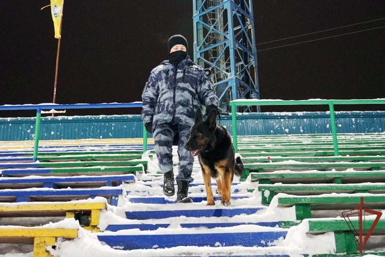 Росгвардия обеспечила безопасность матча чемпионата России по хоккею с мячом в Архангельске