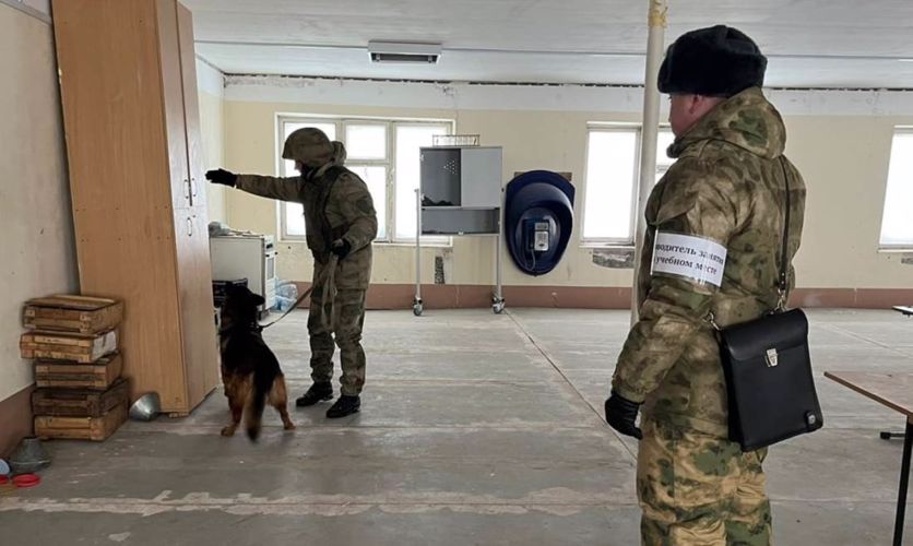 Кинологи Росгвардии со всей страны завершили профессиональную подготовку в Тюмени
