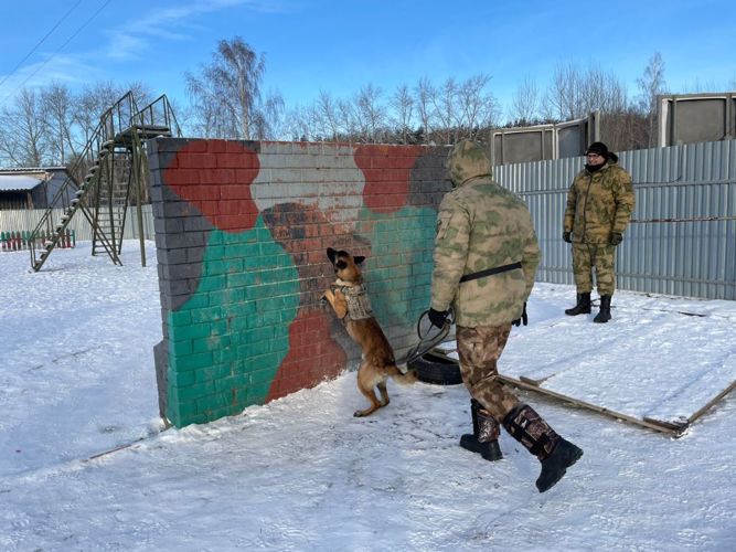 Кинологи Росгвардии со всей страны завершили профессиональную подготовку в Тюмени