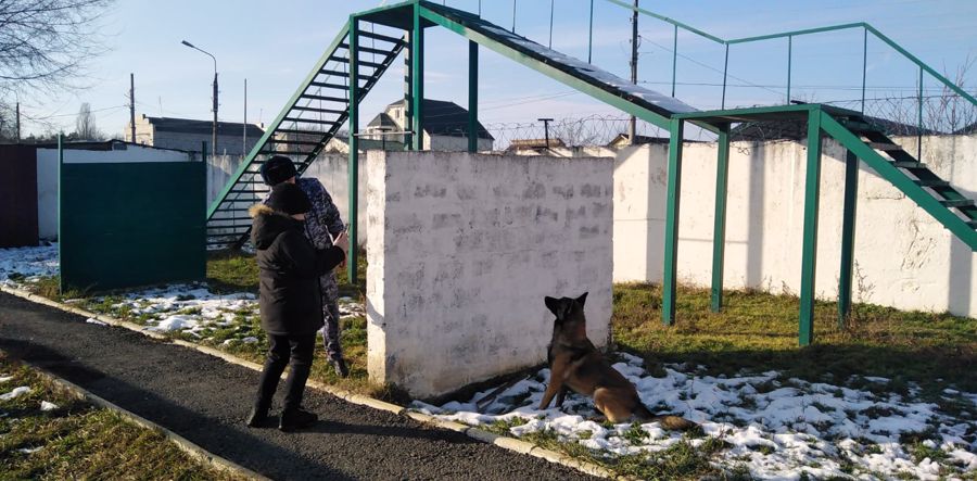 Кинологи Росгвардии исполнили новогоднее пожелание школьника из Черкесска