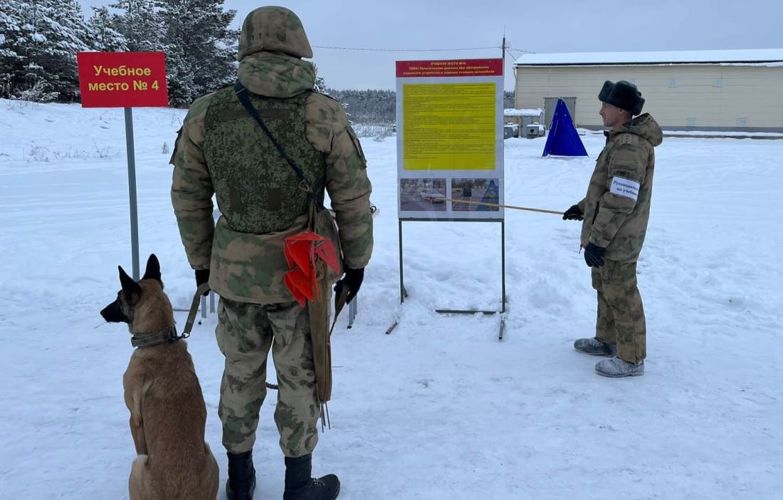 Кинологи Росгвардии со всей страны завершили профессиональную подготовку в Тюмени