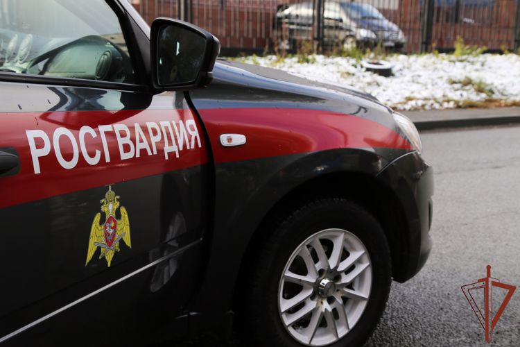 Росгвардейцы по горячим следам задержали подозреваемого в убийстве в Тульской области 