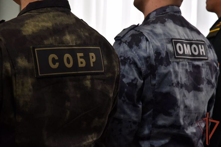В Приволжском округе в преддверии Дня героев Отечества чествовали сотрудников и военнослужащих Росгвардии