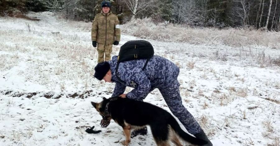 Кинологи Росгвардии со всей страны завершили профессиональную подготовку в Тюмени