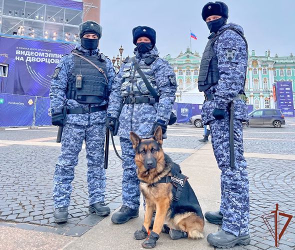 Росгвардейцы обеспечили безопасность конкурса современного медиаискусства в Санкт-Петербурге