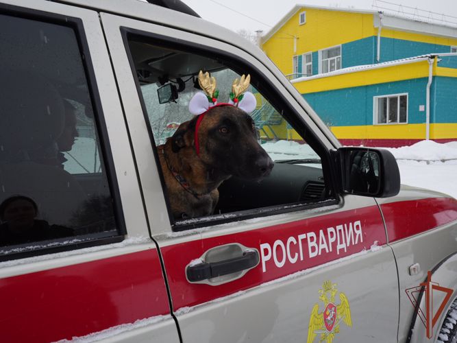 Дед Мороз специального назначения поздравляет детей в городах Дальнего Востока