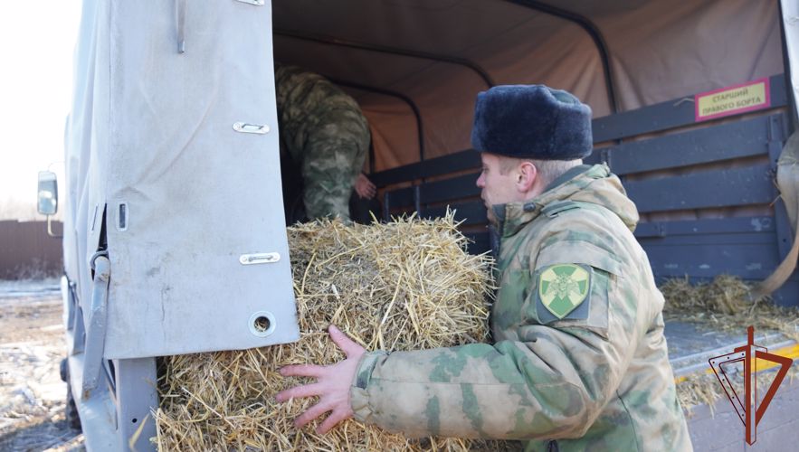 Акция «Добрые дела с Росгвардией» продолжается в Саратове