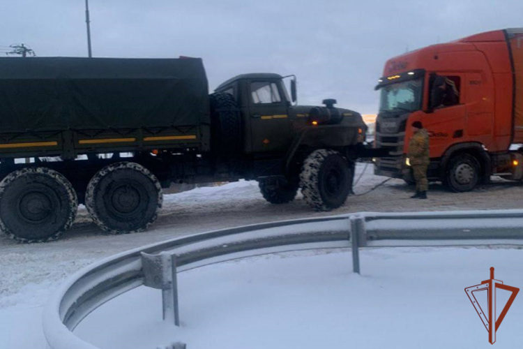 Росгвардейцы спасли из снежного плена фуру с гуманитарной помощью в Тульской области 