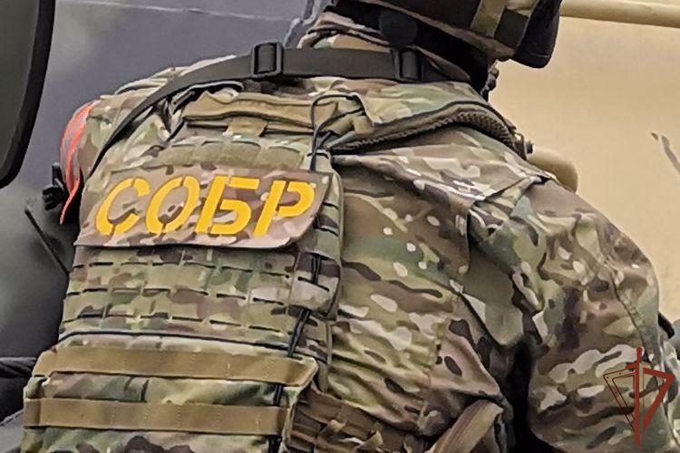 Спецназ Росгвардии пресек в Красноярском крае деятельность мошенников в сфере автострахования