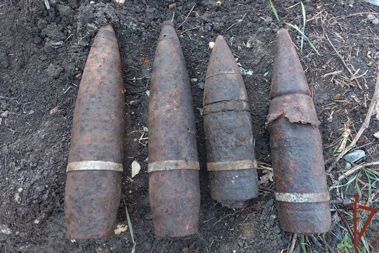 На Кубани взрывотехники Росгвардии уничтожили боеприпасы периода Великой Отечественной войны