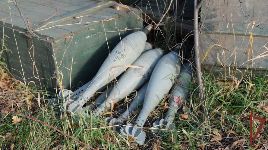 В Троицком районе Луганской Народной Республики сапёры Росгвардии уничтожили схрон с боеприпасами (ВИДЕО)