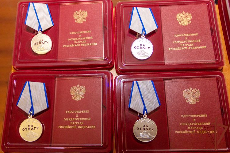 Государственные награды вручены на Кубани росгвардейцам-участникам СВО (видео)
