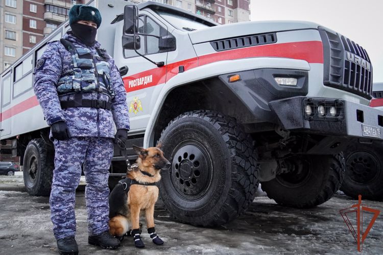 Росгвардейцы обеспечили общественную безопасность на хоккейном матче в Санкт-Петербурге