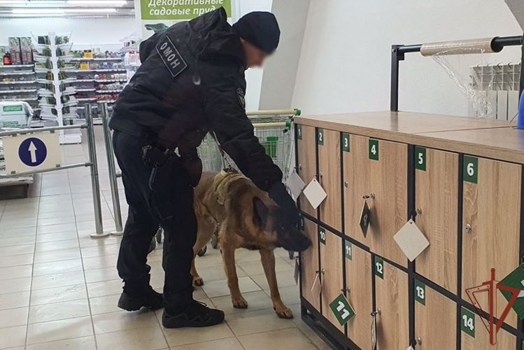 Кинологи Росгвардии рассказали тюменским тележурналистам о  взаимодействии с коллегами из полиции (видео)