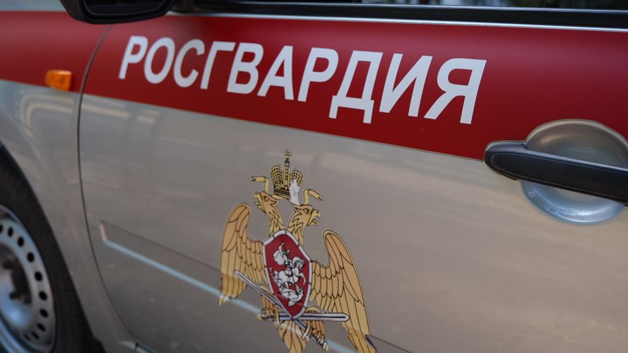     Росгвардейцы приняли участие в ликвидации пожара в Тамбовской области